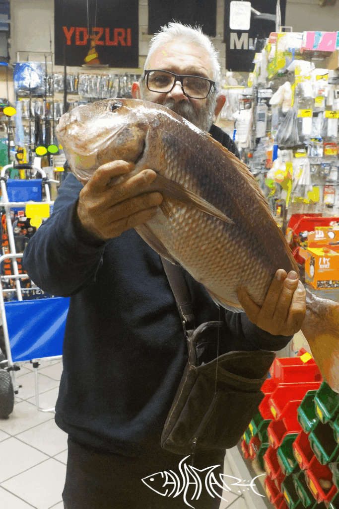 Esca viva e pesca sportiva a Iglesias – Cavamare