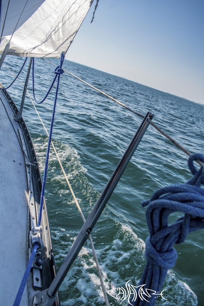 Barca a vela in mare – accessori nautica Cavamare Iglesias